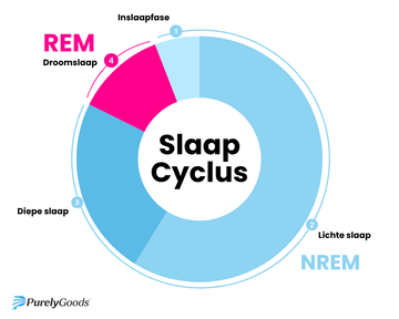 Slaapcyclus NREM en REM slaap