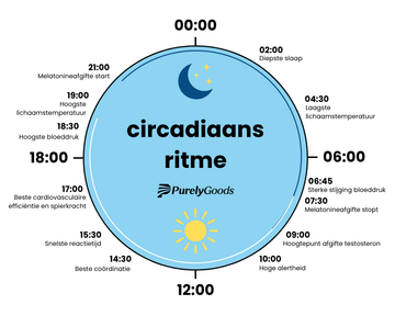Het circadiaans ritme