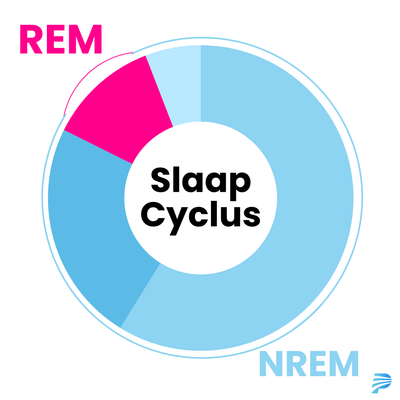 Diagram van de slaapcyclus met verdeling tussen REM- en NREM-slaap, visueel weergegeven in een cirkel.